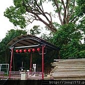 DSC_0499.JPG