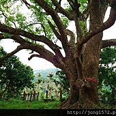 DSC_0555.JPG