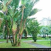 DSC_0446.JPG