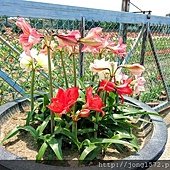 DSC_1199.JPG