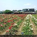 DSC_1233.JPG