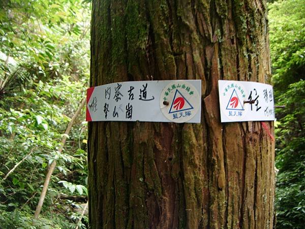DSCF3158.JPG