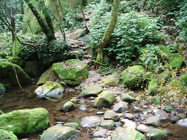 DSCF3171.JPG