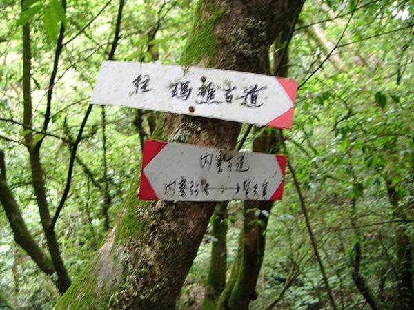 DSCF3177.JPG