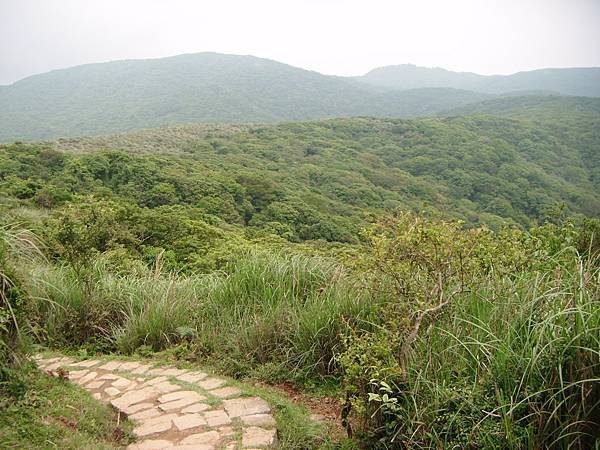 DSCF3202.JPG