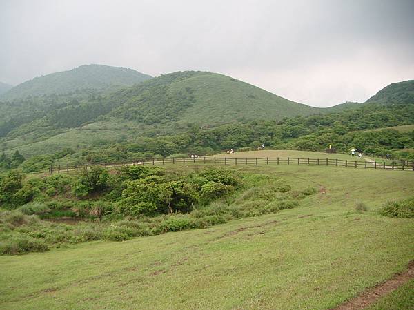 DSCF3222.JPG