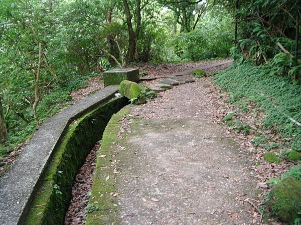 DSCF3254.JPG