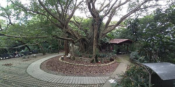 113.10.11南勢角-土城天上山