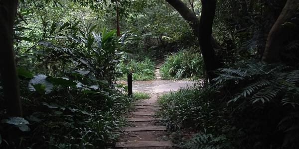 113.10.11南勢角-土城天上山