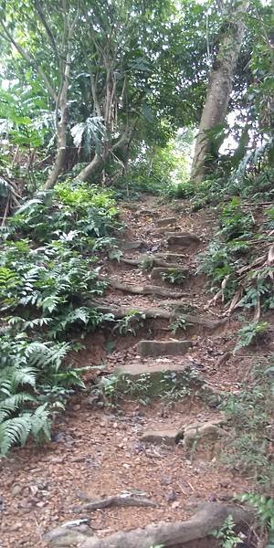 113.10.11南勢角-土城天上山