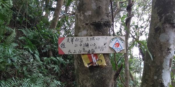 113.10.11南勢角-土城天上山