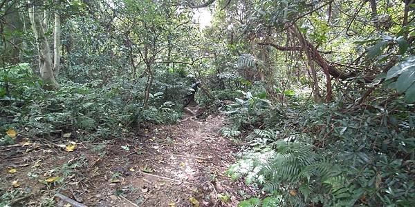 113.10.11南勢角-土城天上山