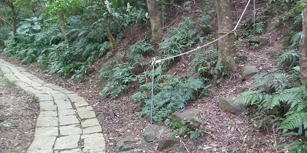 113.10.11南勢角-土城天上山