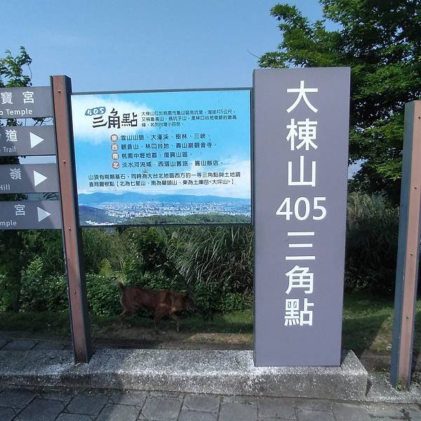 114.4.4大棟山