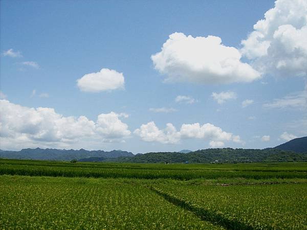 花東田園