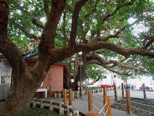 茄苳王公廟