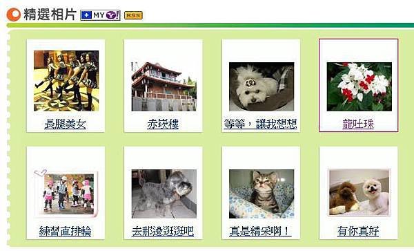 龍吐珠