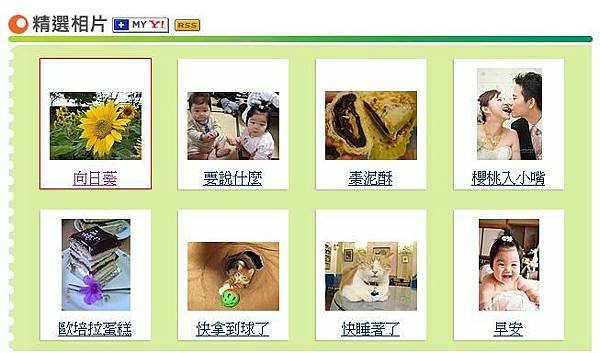 向日葵