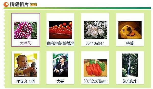 大理花