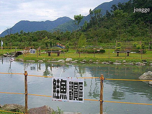 東岳湧泉