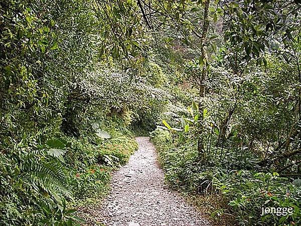 松羅步道