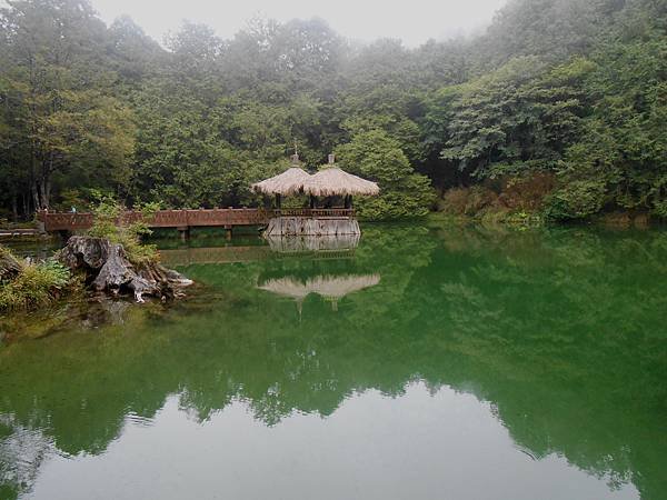 阿里山2016