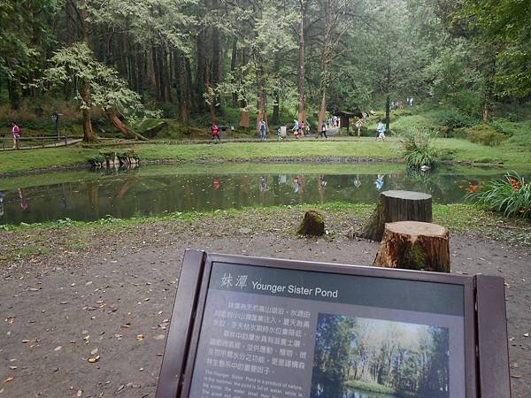 阿里山2016