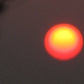 IMG_7176