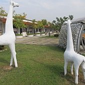 IMG_7303