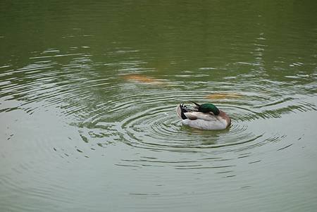 DSC01548.JPG