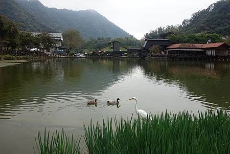 DSC01608.JPG