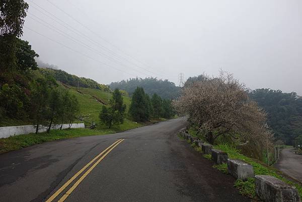 DSC01503