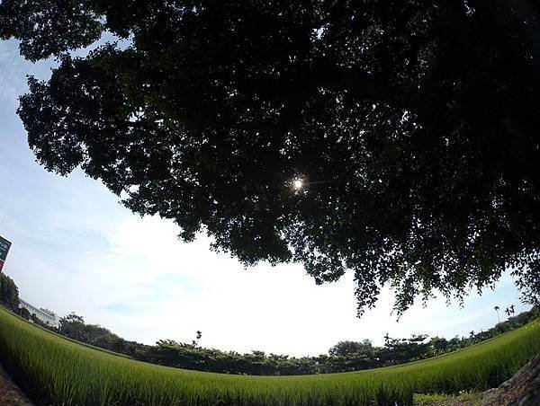 2015-05-17-好友們的咖啡晨跑010