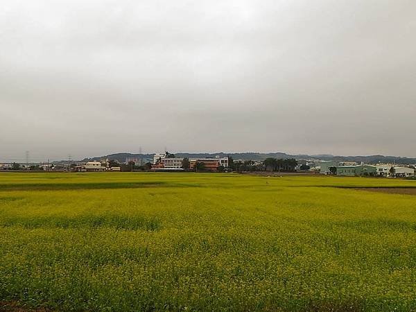 2018-01-28-奶爸豆花團晨騎006