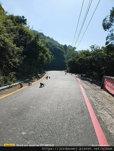 【單車行】忠烈祠➡️中山大學柴山➡️輪渡廠➡️旗後砲臺➡️中