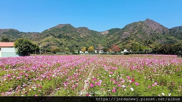 【單車行】美濃丶杉林鄉花海丶旗山