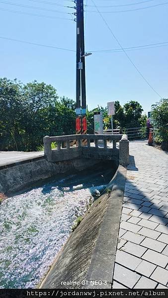 【單車行】美濃丶杉林鄉花海丶旗山