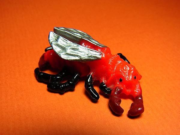 Fire Beetle