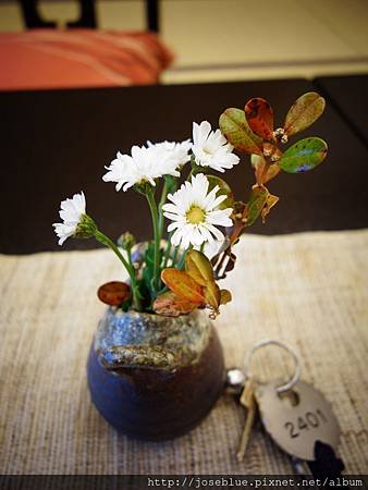 DSC02506.JPG