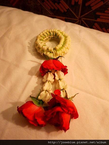 IMG_2369.JPG