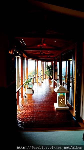 DSC01431 (2).JPG