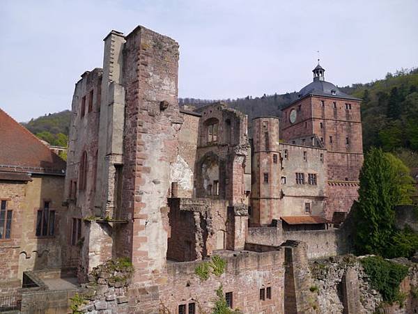 P1030221