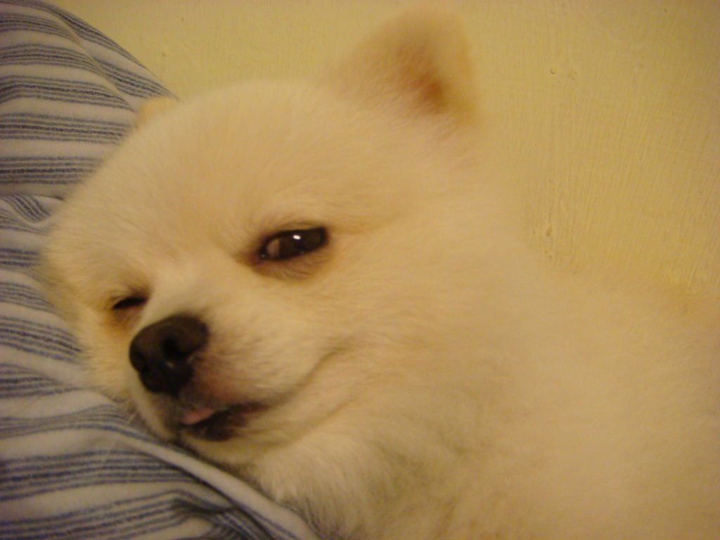 DSC07600