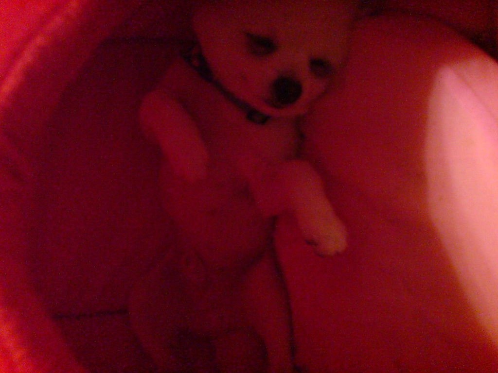 DSC00302
