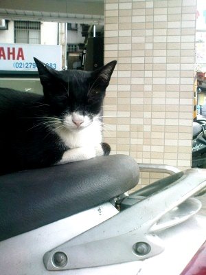 DSC04855 (300x400).jpg
