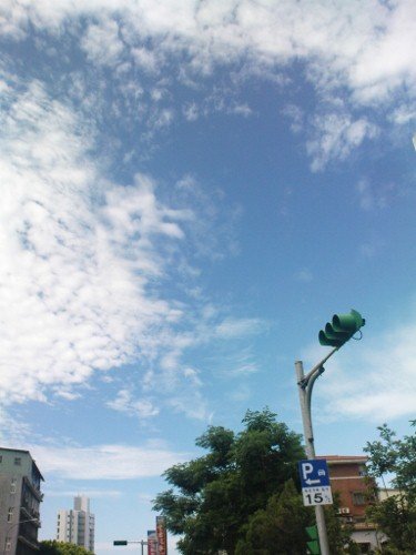 DSC05133 (375x500).jpg