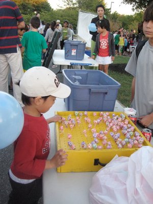 IMG_8354.JPG