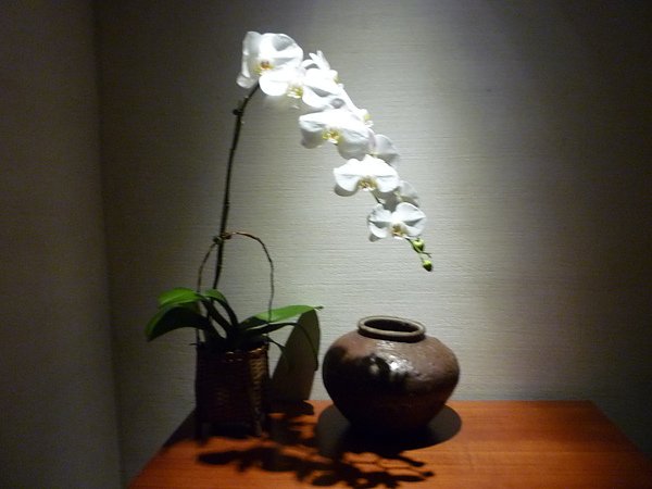 P1010163.JPG