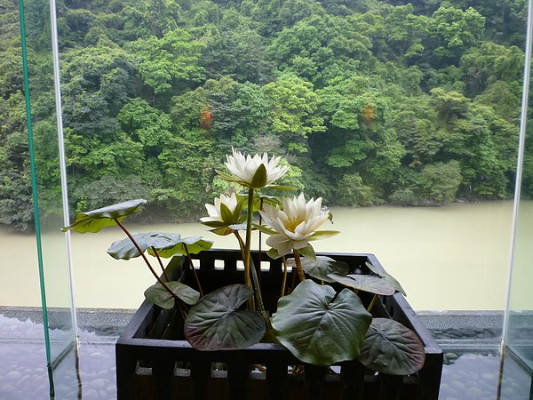 P1010181.JPG