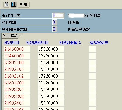 特別總帳科目-4